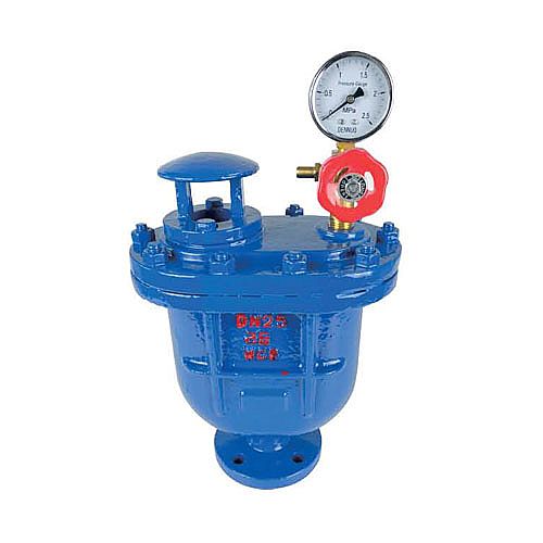 CARX複(fu)合式排(pái)氣閥